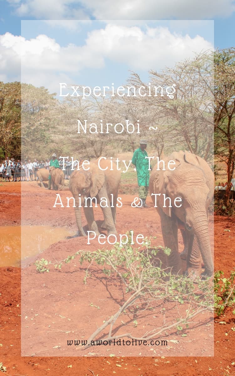 Two small elephants are eating tree branches. The men who are caring for the elephants can be seen behind them and are wearing green coats. Text over image saying; Experiencing Nairobi ~ The City, The Animals & The People.