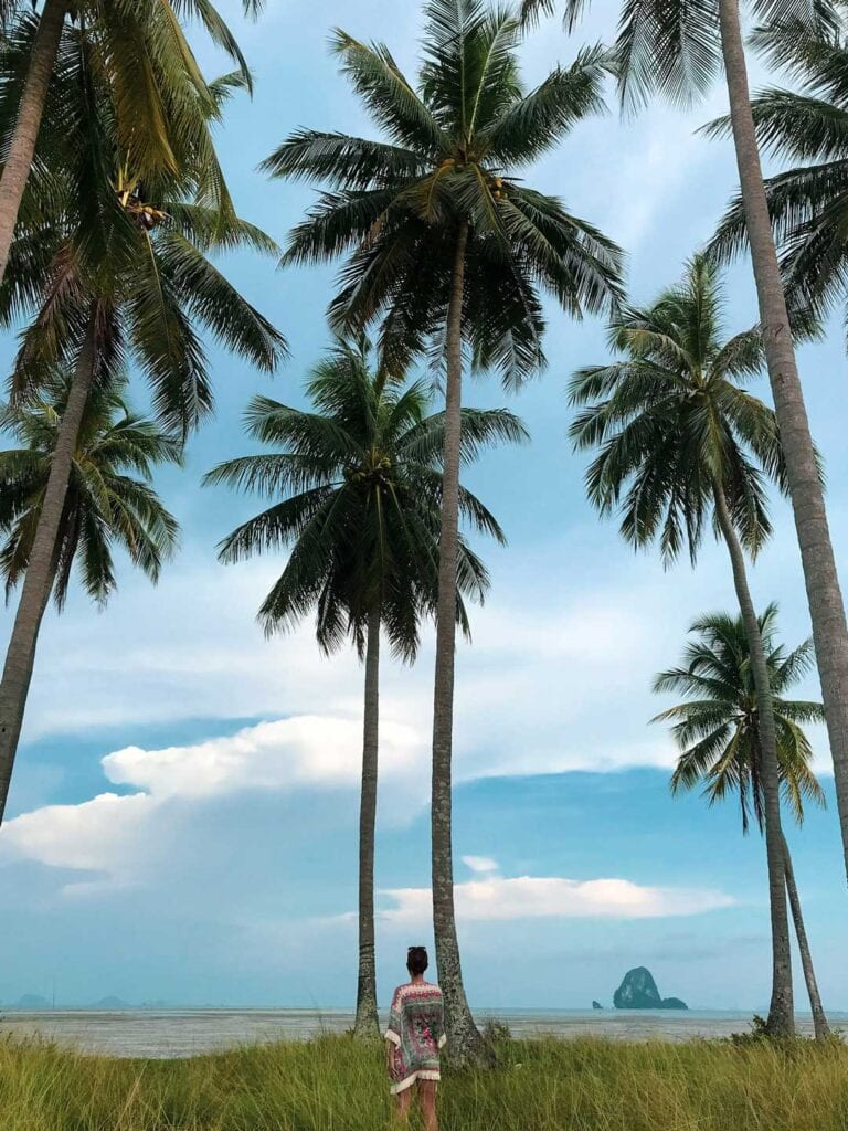 Elyse is standing under coconut trees on Koh Yao Yai island