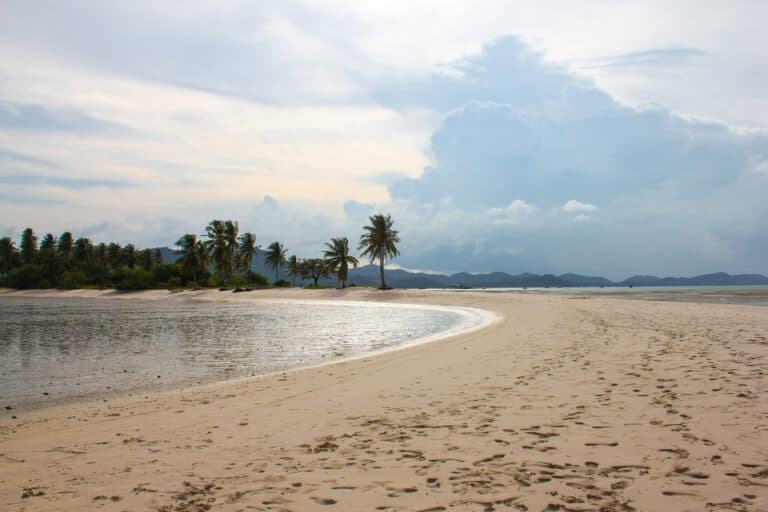 Palms on Koh Yao Yai beach, Thailand