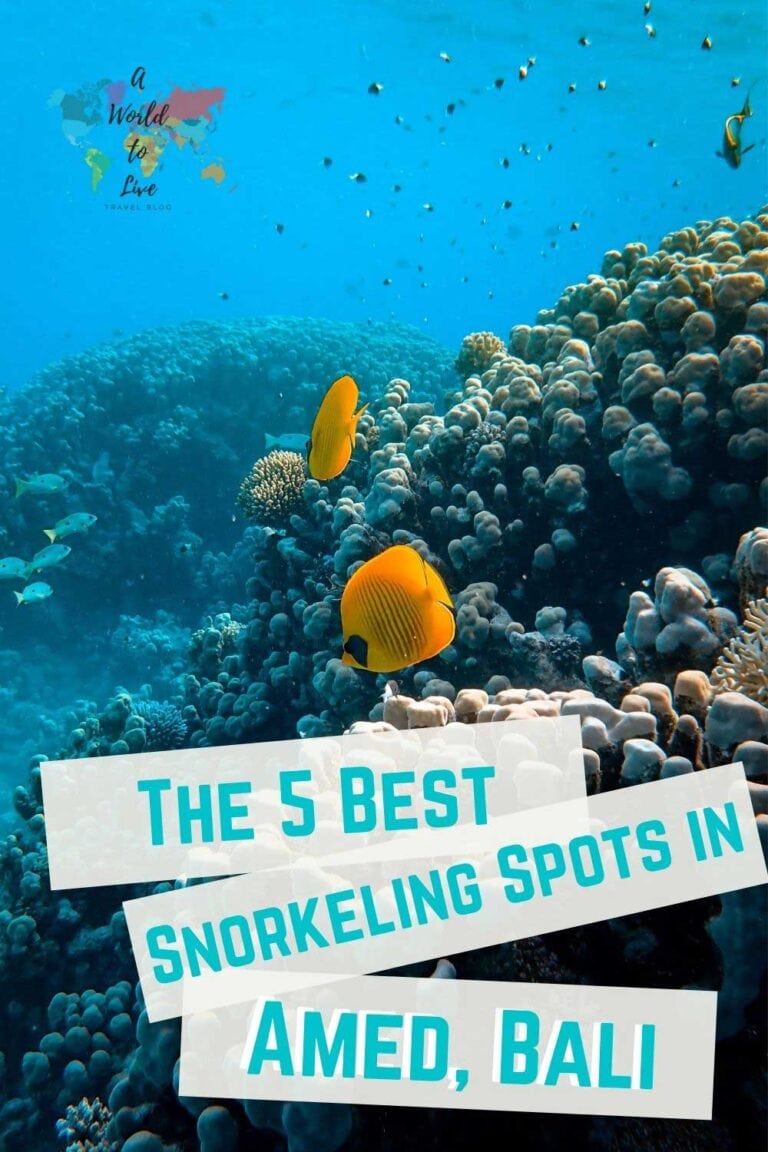 a photo taken under water at a snorkeling site in Amed Bali