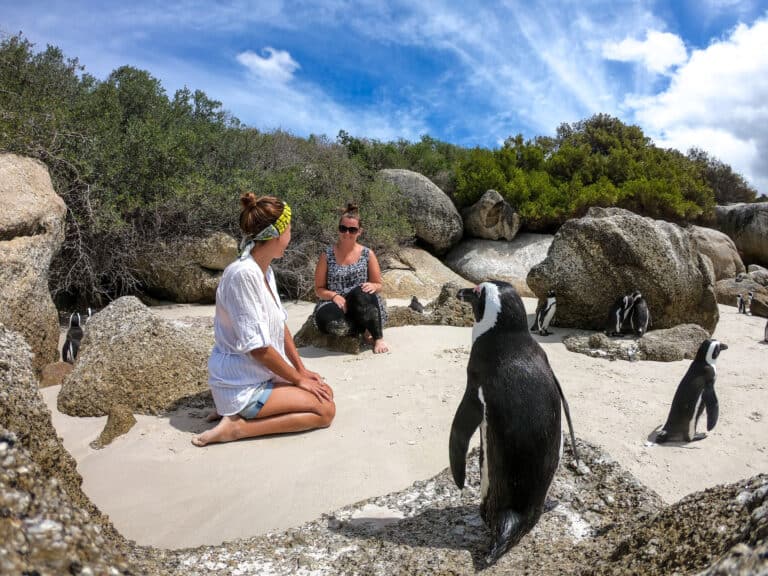 two females sitting on the sand surrounded by penguins
