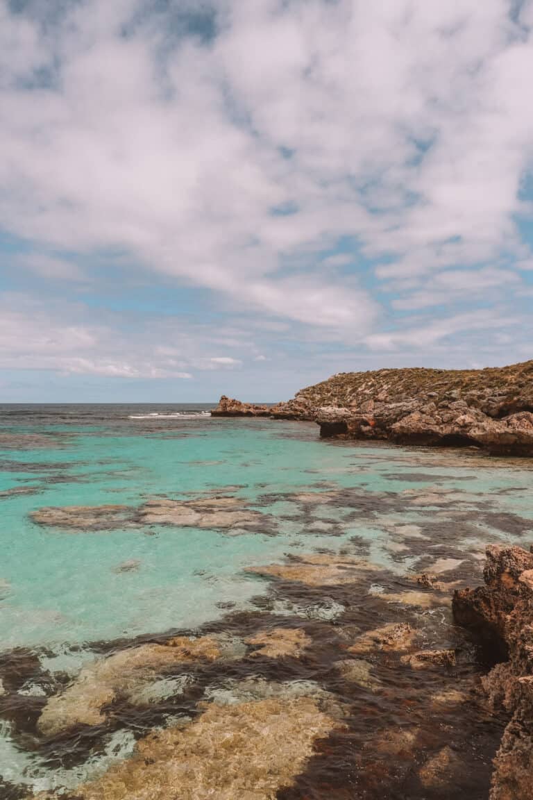 overlooking the blue ocean, with the water so clear you can see the reef underneath on Rottnest Island