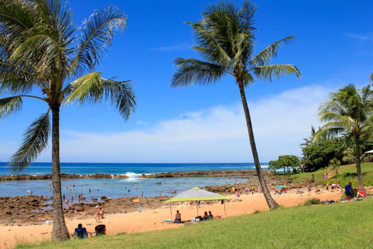 looking out to the ocean in Hawaii. two palm trees line the beach and rocks in the ocean have created a tide pool