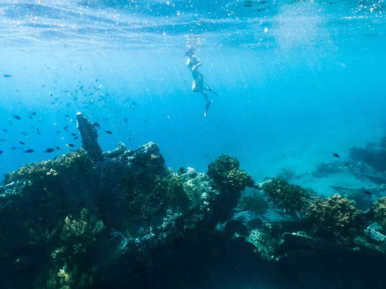 taken underwater of elyse snorkelling in amed, the sun is shinning onto the water over the reef