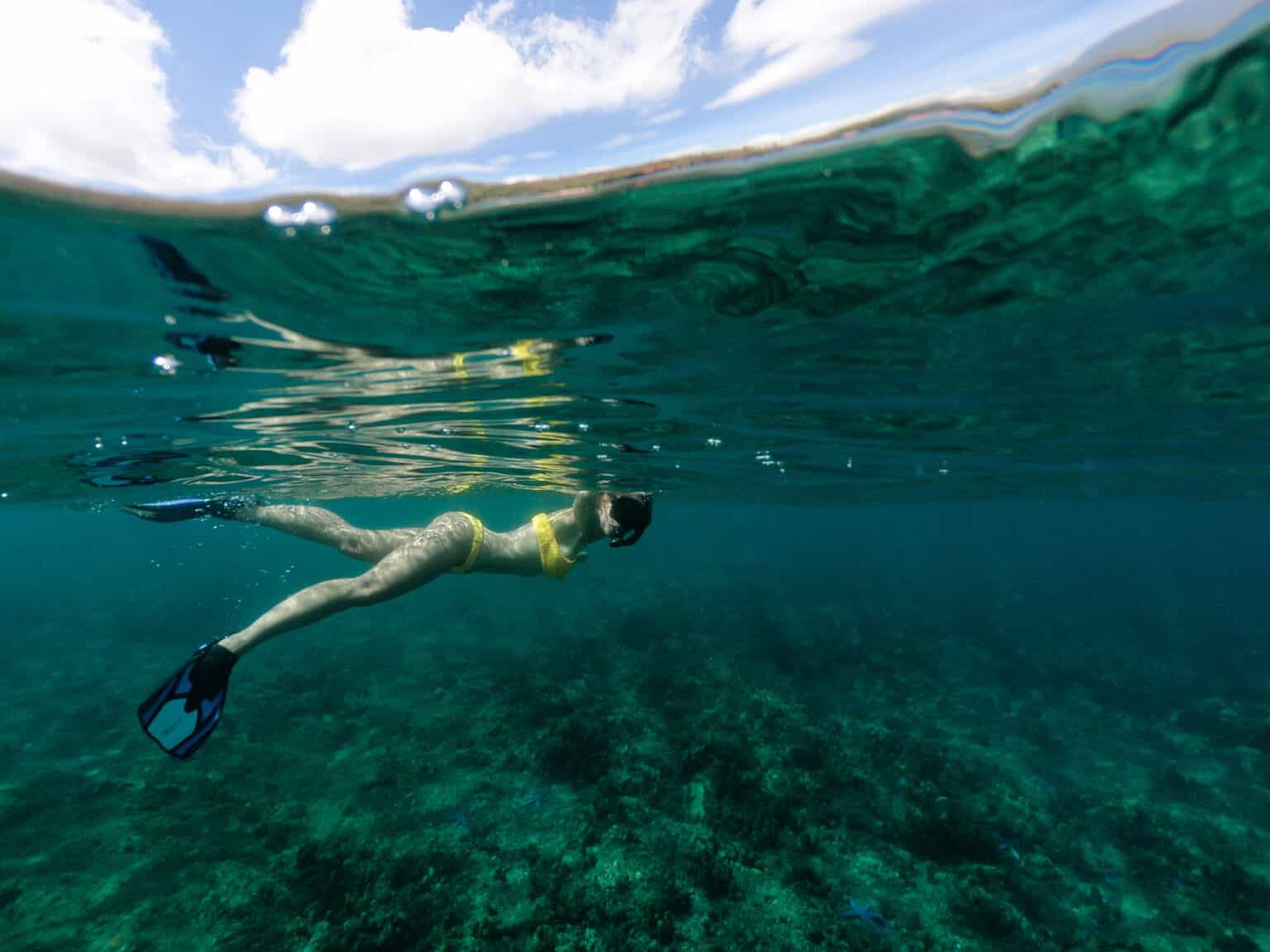 amed snorkeling trip