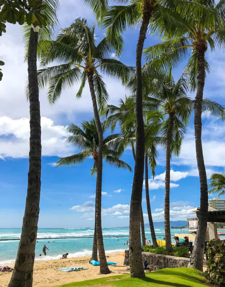 Waikiki beach on a sunny day. Many palm trees line the beach and big surf can be seen in the distance
