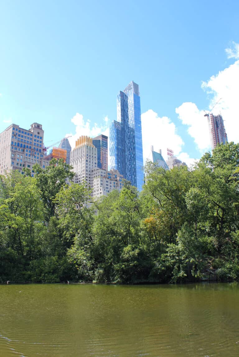 Central Park in NYC on a sunny day. The pond is surrounded by trees and the tall buildings are in the background