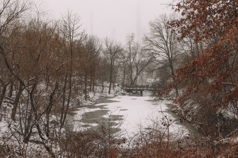 A landscape photo of a frozen lake in Central Park. The lake is surrounded by snow and many trees