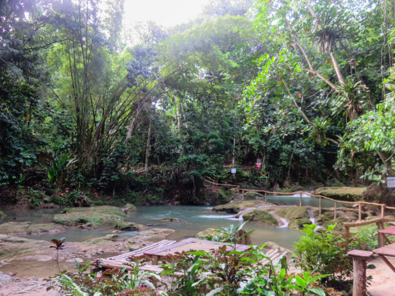A river running through the jungle and a wooden railing leads the way over the rocks.
