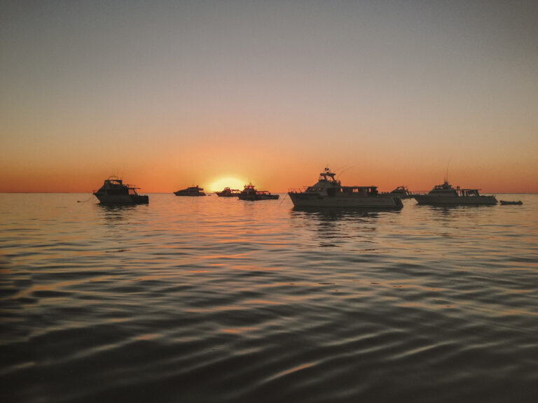 The sun setting over the calm ocean, a few boats are anchored in the water away from land, after operating tours to swim with whale sharks.