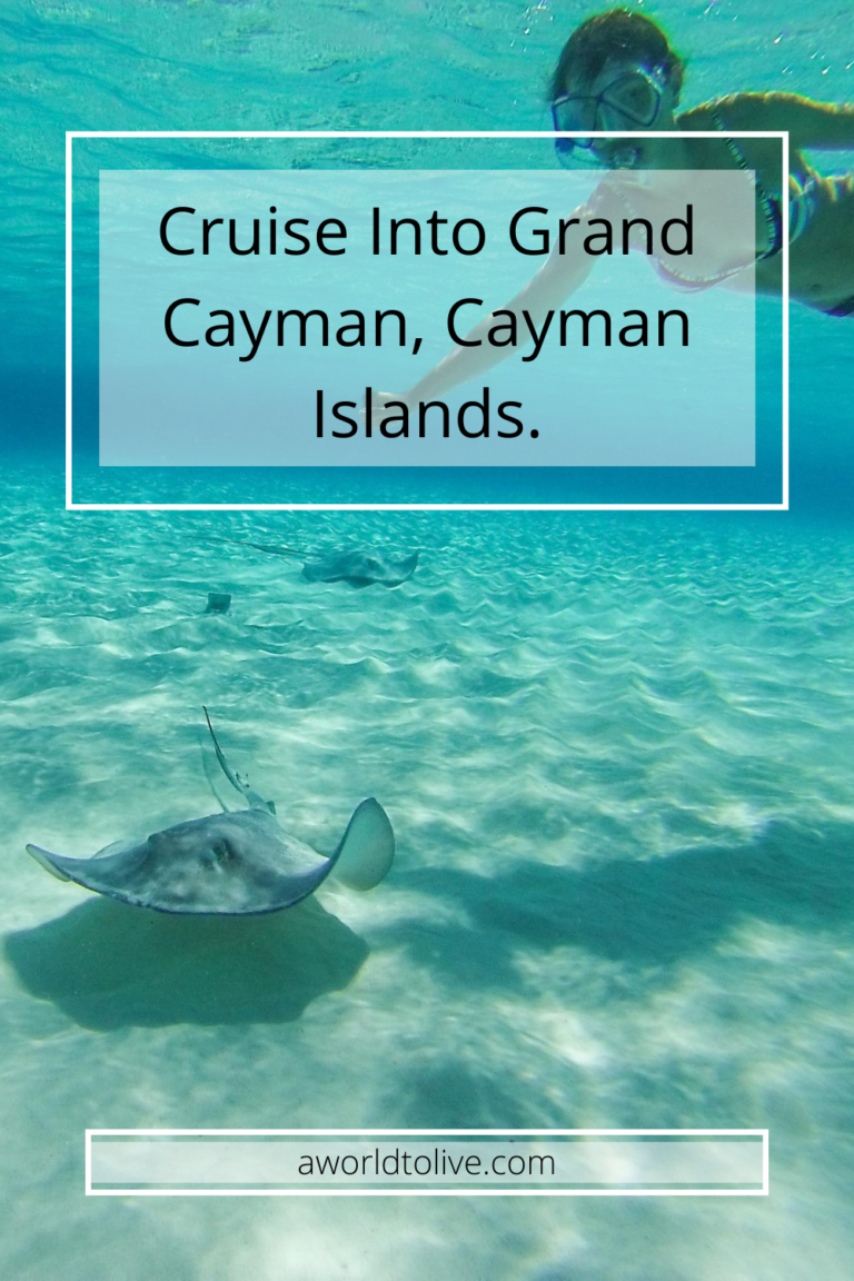 An image of a large stingray swimming under water and Elyse swimming above looking towards the camera. Text over image saying Cruise into Grand Cayman, Cayman Islands.