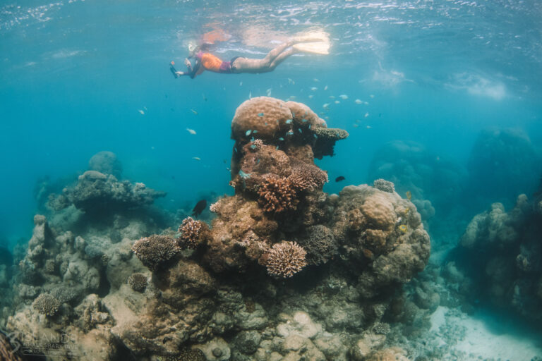 A underwater photo of Elyse swimming on the surface and below her is a large mountain of coral on the Ningaloo reef.