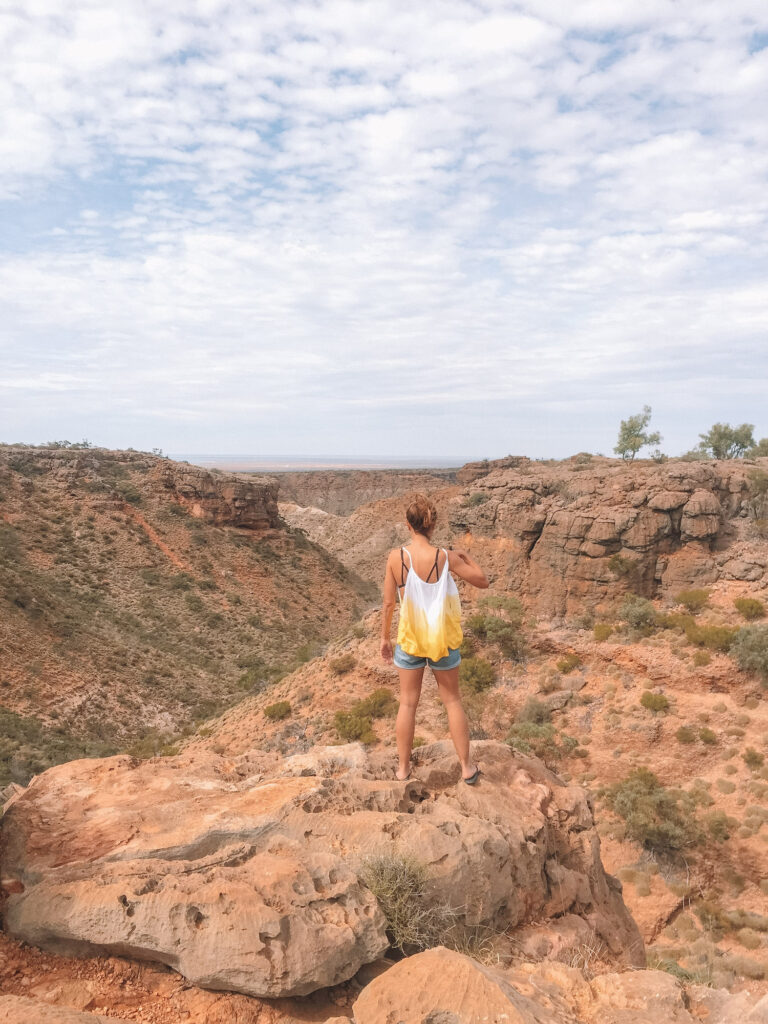 Elyse standing on the edge of a canyon looking down. The landscape is very wide and brown.