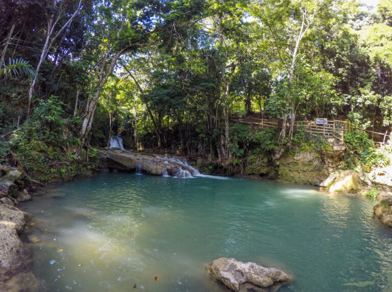 A large water hole surrounded by lush green jungle in Jamaica.