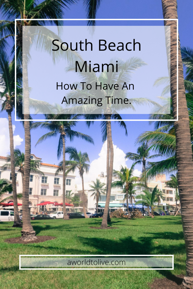 Tall palm trees scattered along a grassy area, art decor style buildings can be seen in the distance. Text is written over the top of the image saying; South Beach Miami how to have an amazing time
