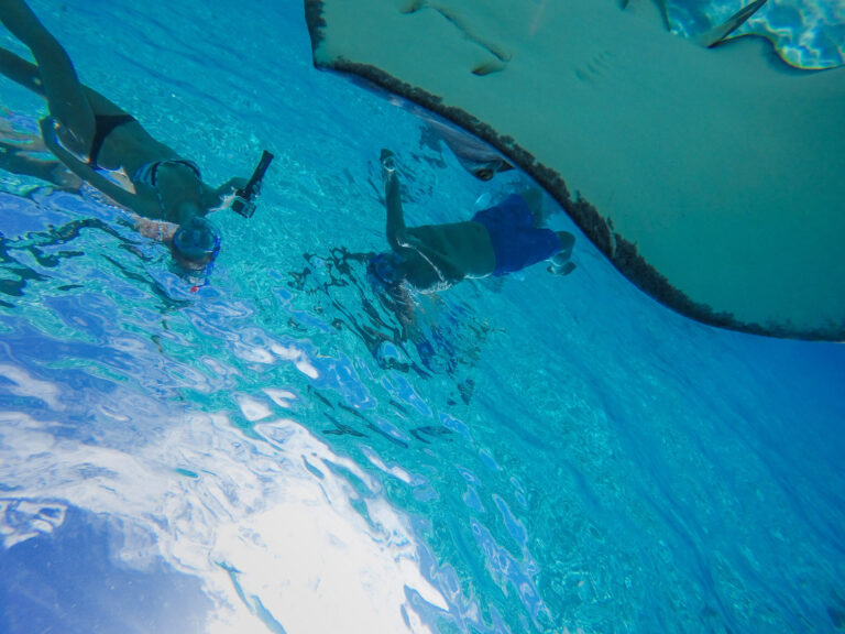Taken from the bottom of the ocean looking up. Elyse and Lawrence are swimming above a stingray taking a photo of it.