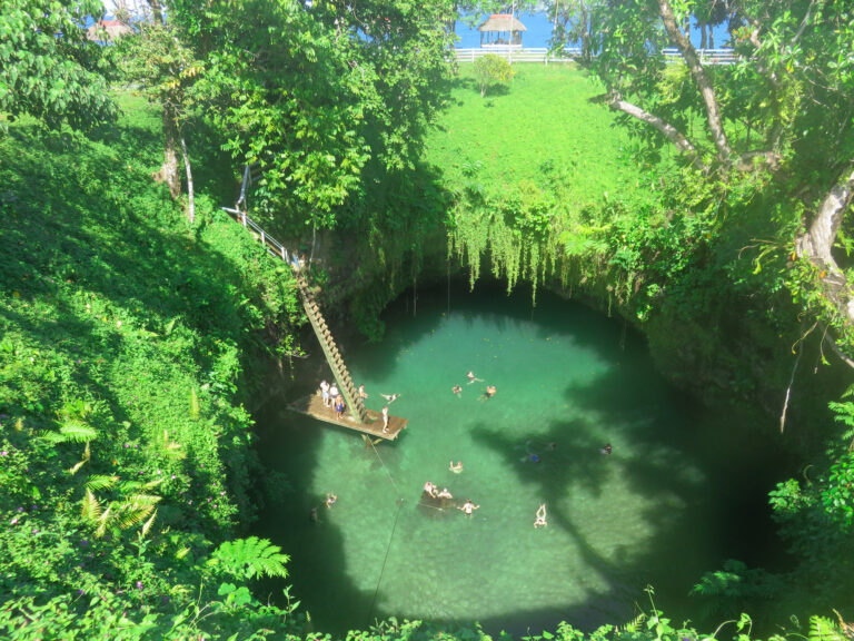 The image is taken from a high angle looking down into a large swimming hole. There are a lot of people swimming who have travel to samoa. The trench is surrounded by thick green plants.