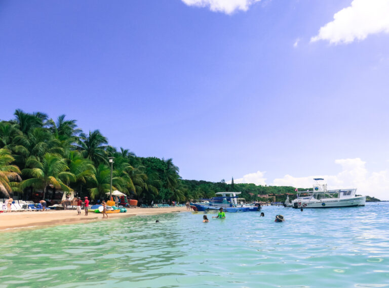 The image is taken from the ocean looking towards the shore on Roatan Island. The beach is lined with palm trees and there are two small cruise boats in the water.