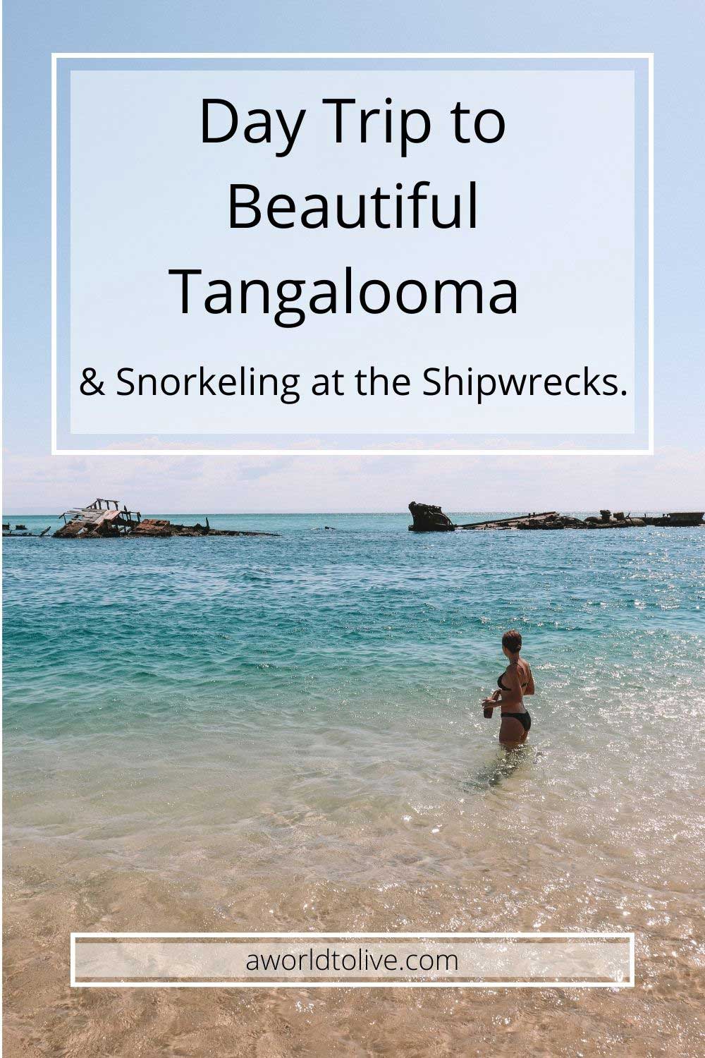 Elyse standing in the shallow water at Tangalooma island resort looking out to the many shipwrecks, holding her sun hat. Text over image with title of blog