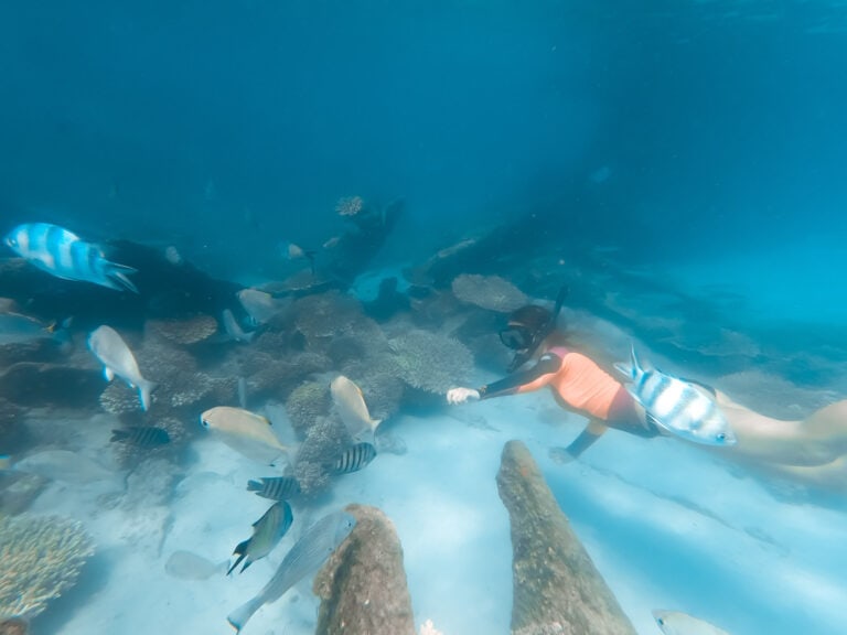 An underwater image of Elyse snorkeling next to a shipwreck. The water is very blue and there are small fish surrounding her.
