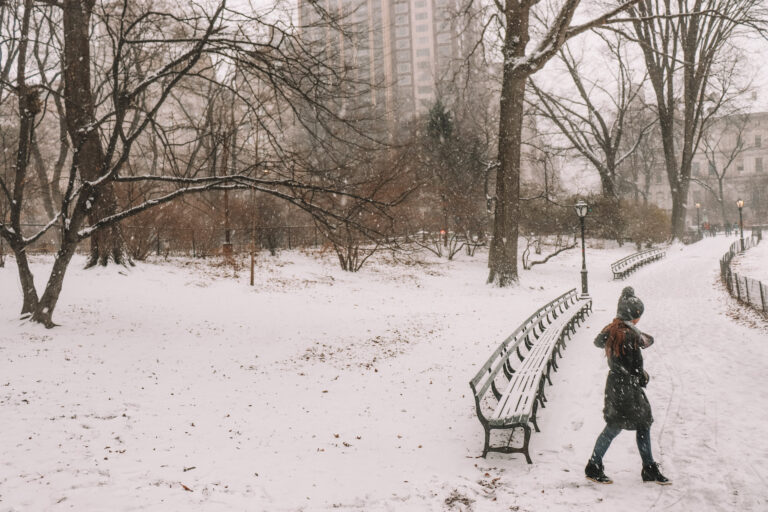 Elyse walking in Central Park while it's snowing, she's dressed in a winter coat and is covered in snow.