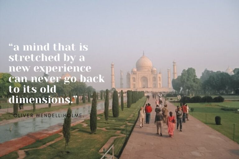 An image of a outdoor setting, beautiful green plant and a group of people walking down a paved path. In the distance is the Taj Mahal, a white building made of marble.