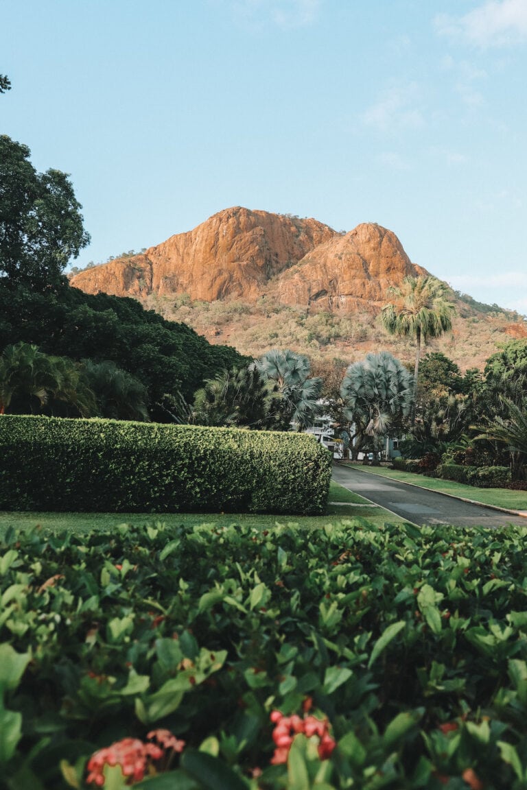 Green plants cover the grounds of the botanical gardens in Townsville. In the distance castle hill can be seen.