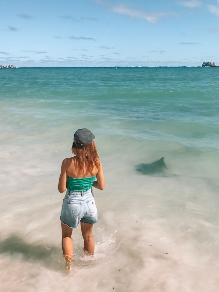 Elyse standing in the ocean watching a stingray swim by on a sunny day.