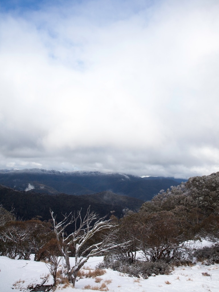 Scenic shot taken from Mount Buller in Victoria. There is a lot of snow and it's a cloudy day. Suggestion for your Australian bucket list
