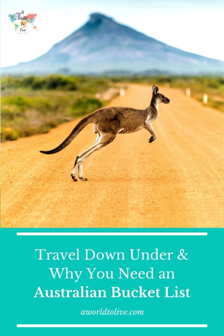 Kangaroo running in outback Australia. Travel Down Under & Why You Need an Australian Bucket List
