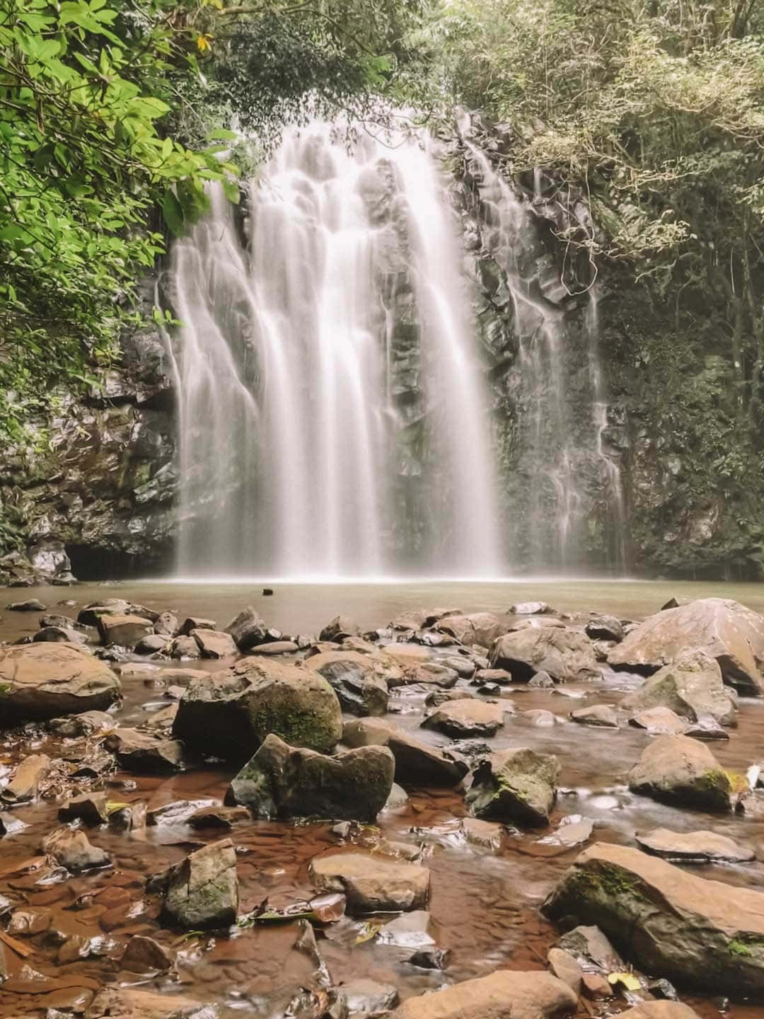 Exploring Cairns Waterfall Circuit, The Complete Guide | A World To Live