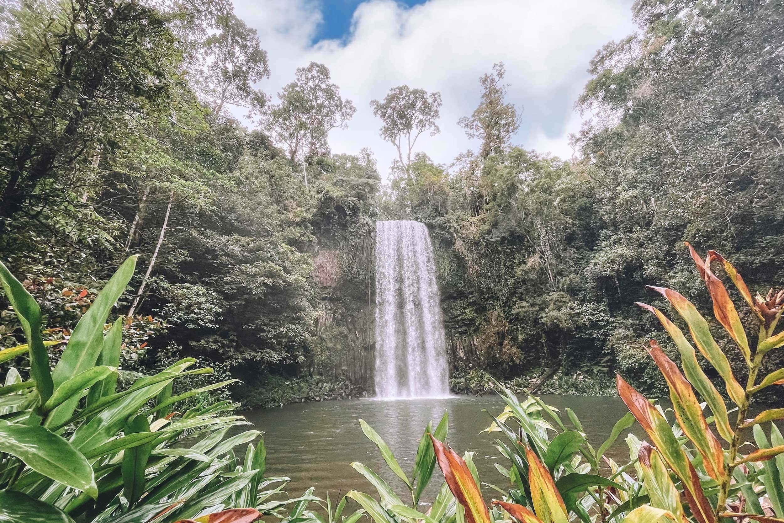 The beautiful Millaa Millaa Falls on the Cairns Waterfall Circuit