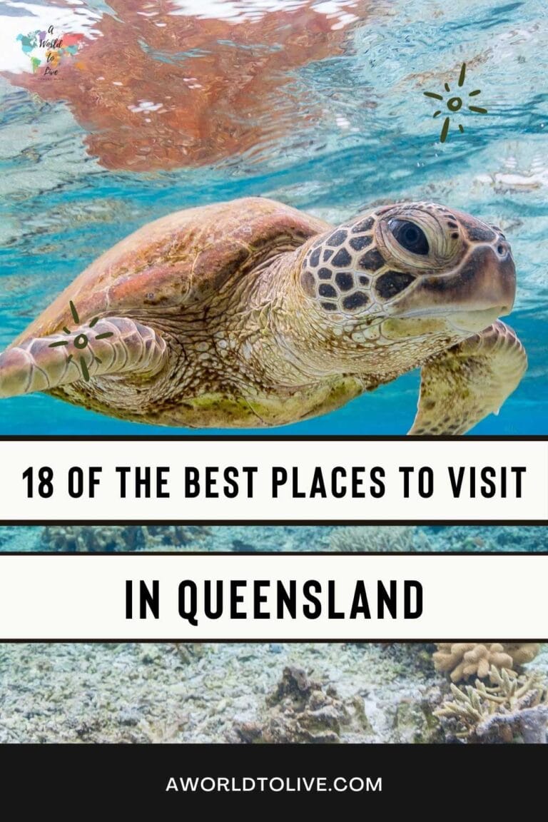 Sea Turtle swimming in the ocean. Text on image, 18 of the best places to visit in Queensland