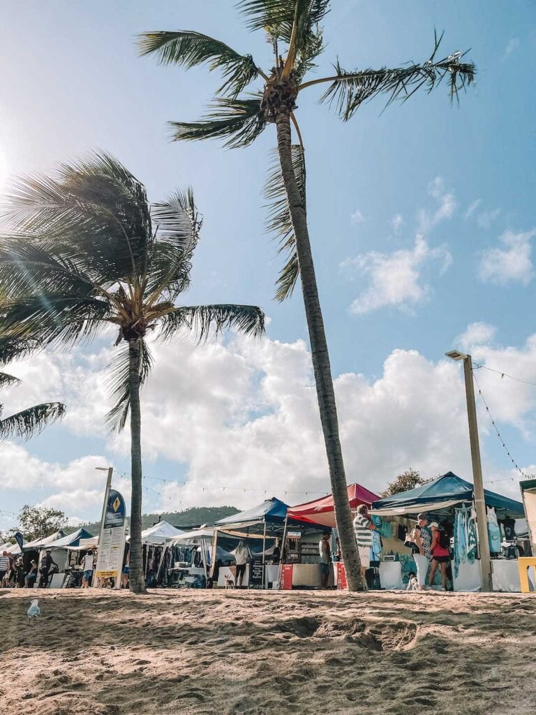 Airlie Beach Saturday morning markets at the beach, one of the best things to do in town