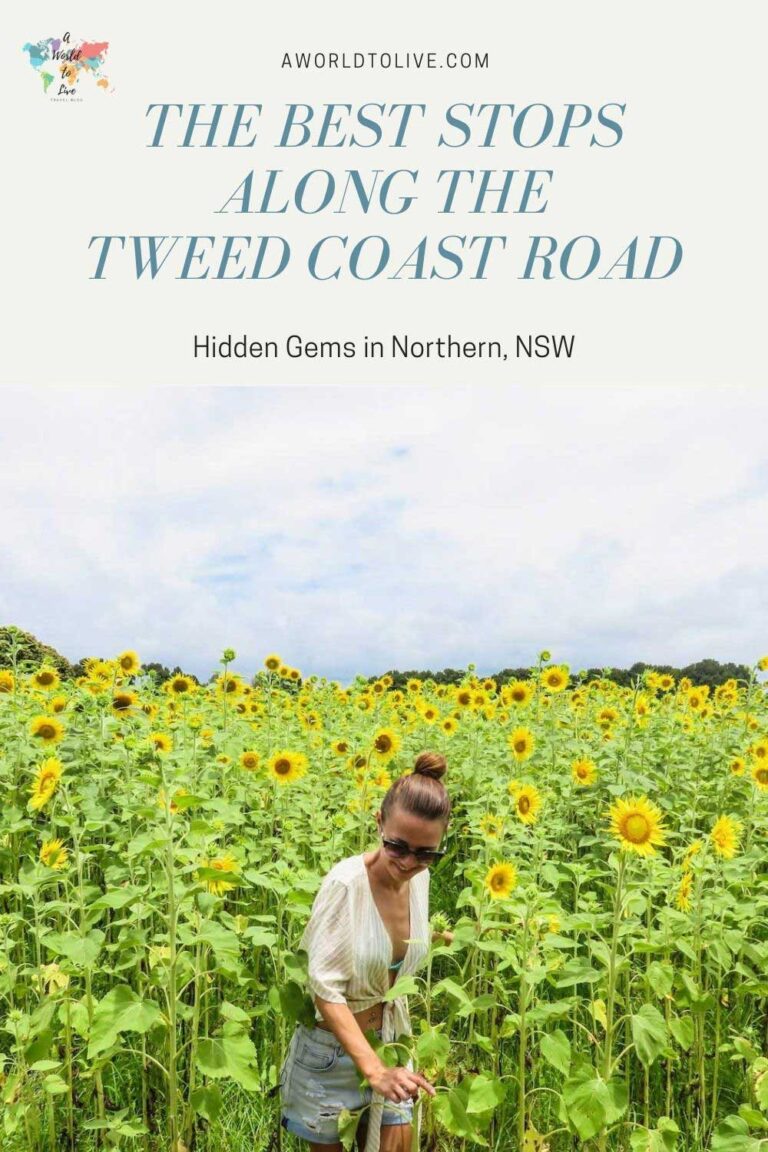 Elyse in a field of sun flowers for article; best places to stop along the Tweed Coast Road