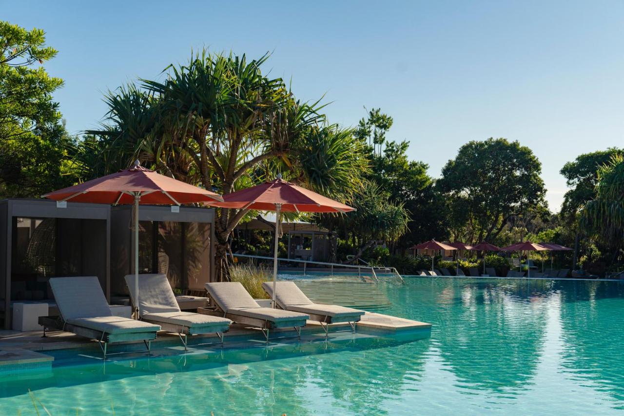 4 sunbeds by the pool in Byron Bay