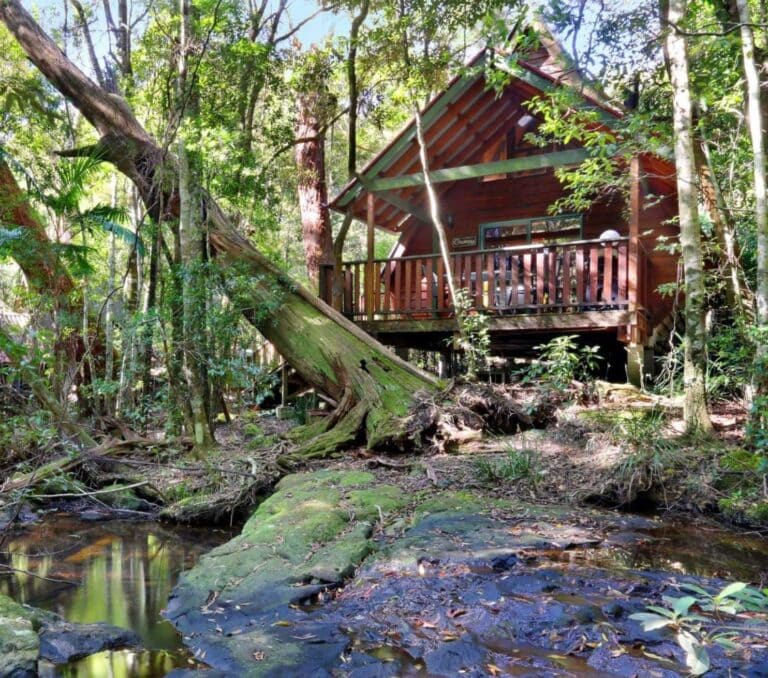 a cabin in the rainforest with the v=balcony overlooking a stream