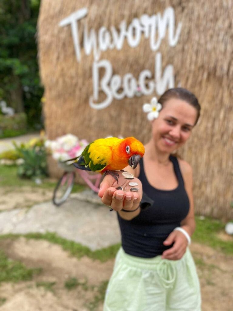Elyse feeding a Parrot in front of the Thavorn beach sign