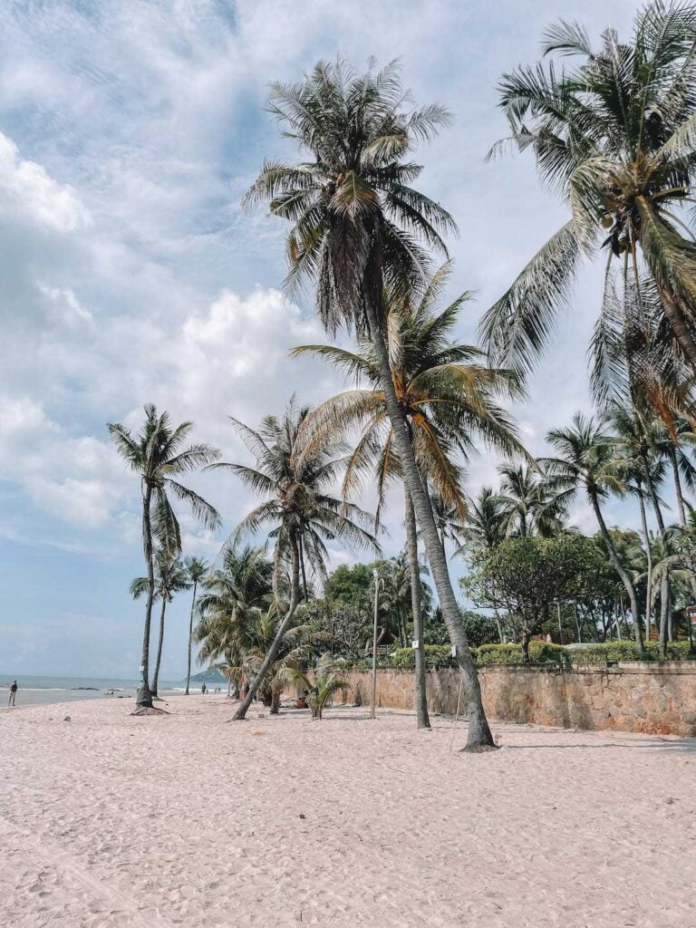 Palm trees line Hua Hin beach on a sunny day