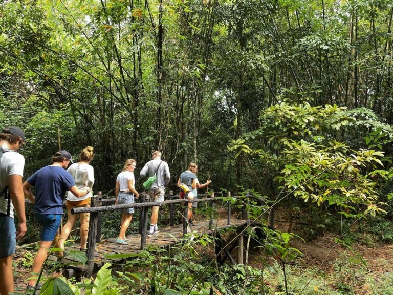 a group of people trekking in the jungle in Khao Sok National Park, activating included in Khao Sok 2 day 1 night tour