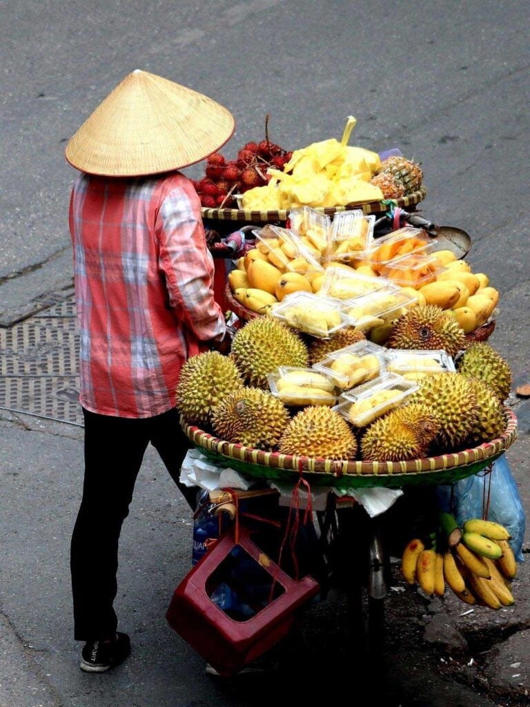 A Vietnamese person wearing a traditional hat, selling fresh fruit from a push bike. Image is for guide on things to know before traveling to Vietnam