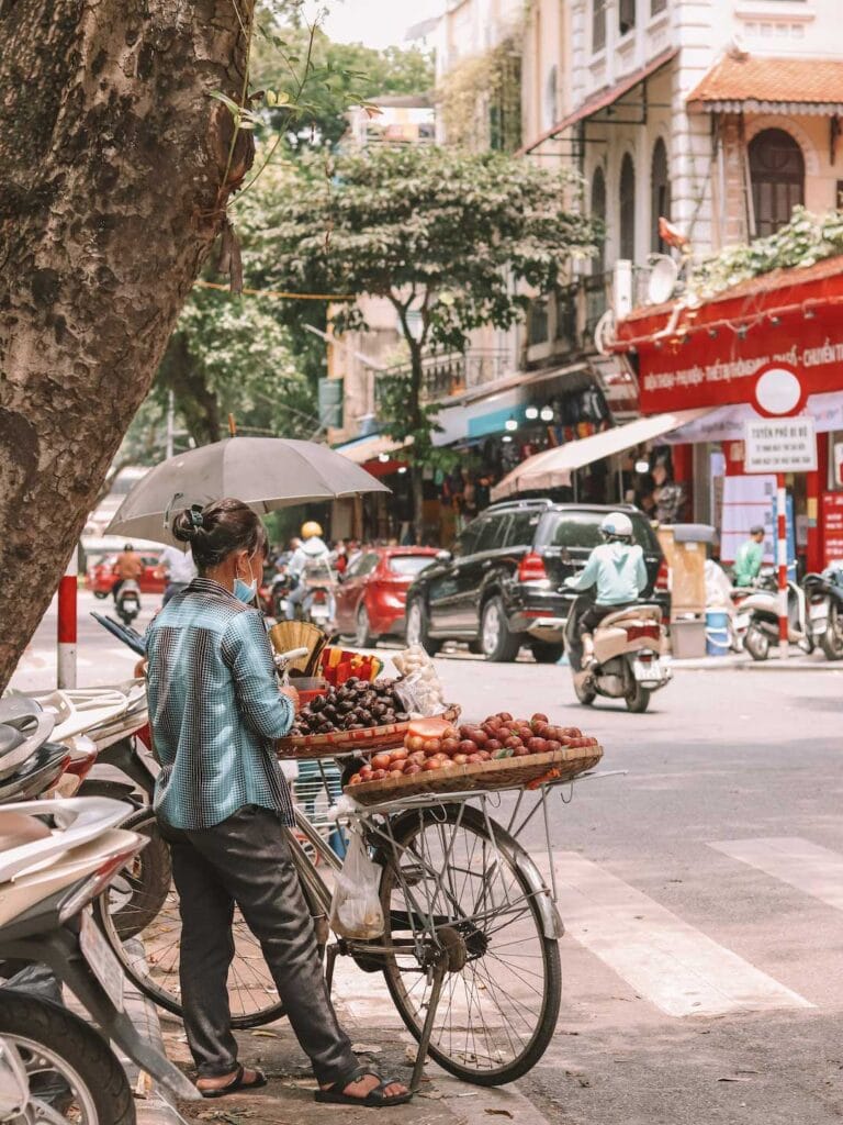 A local women in north vietnam selling fresh fruit on the street