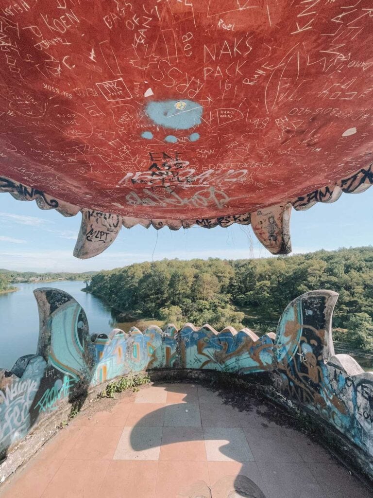 taken from the inside of the dragons mouth looking out to the forest. The mouth is covered in graffiti