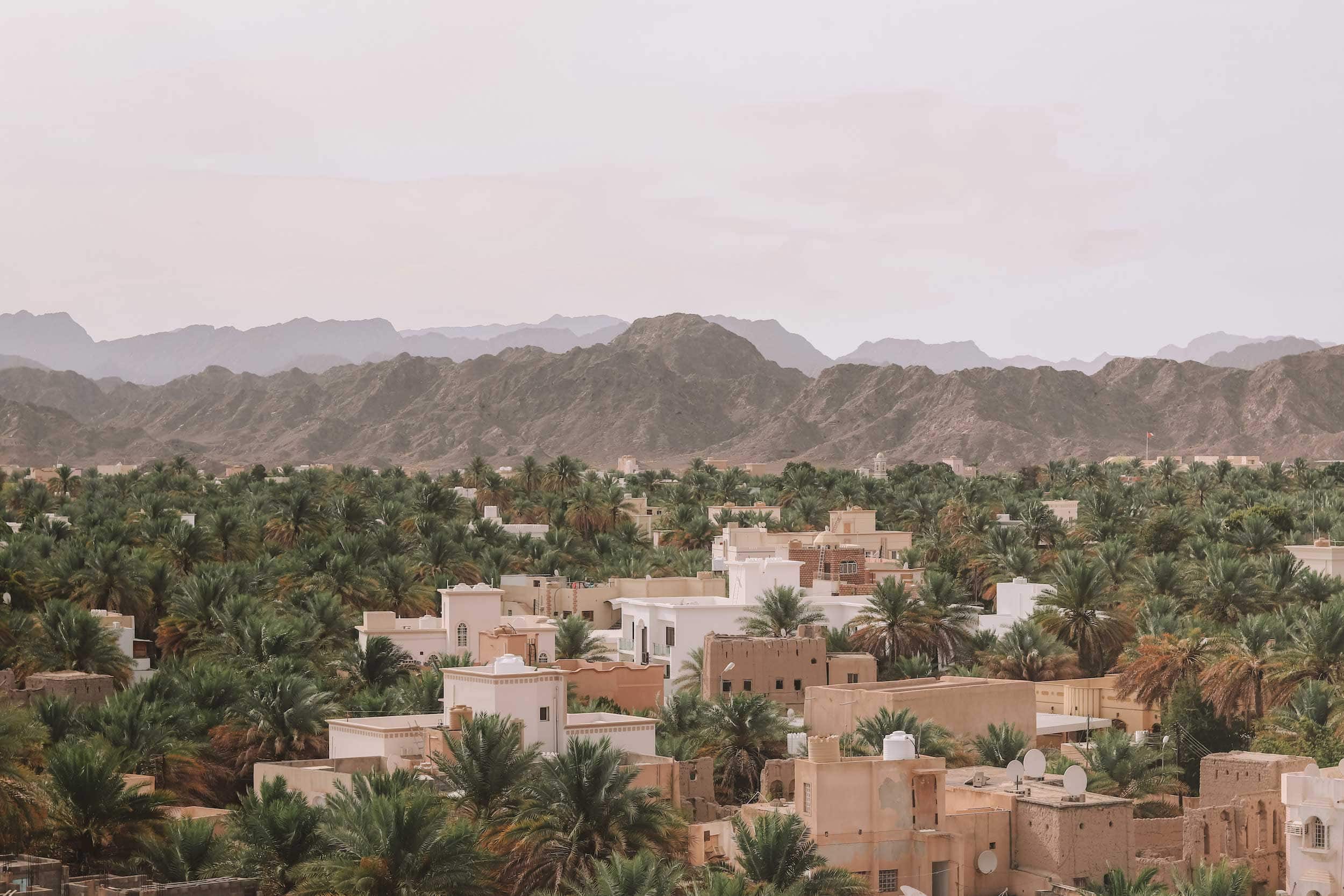 Planning a Road Trip in Oman? Discover the Magic of Oman With This Perfect 2 Week Itinerary