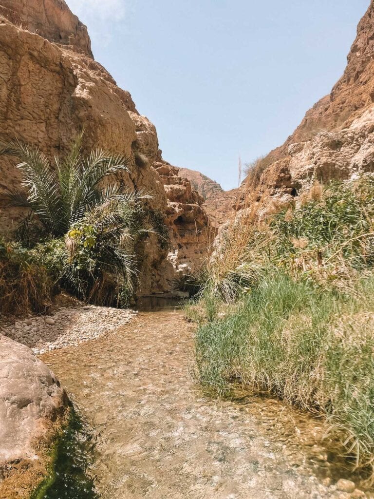 Scenery of one of the best wadis in Oman