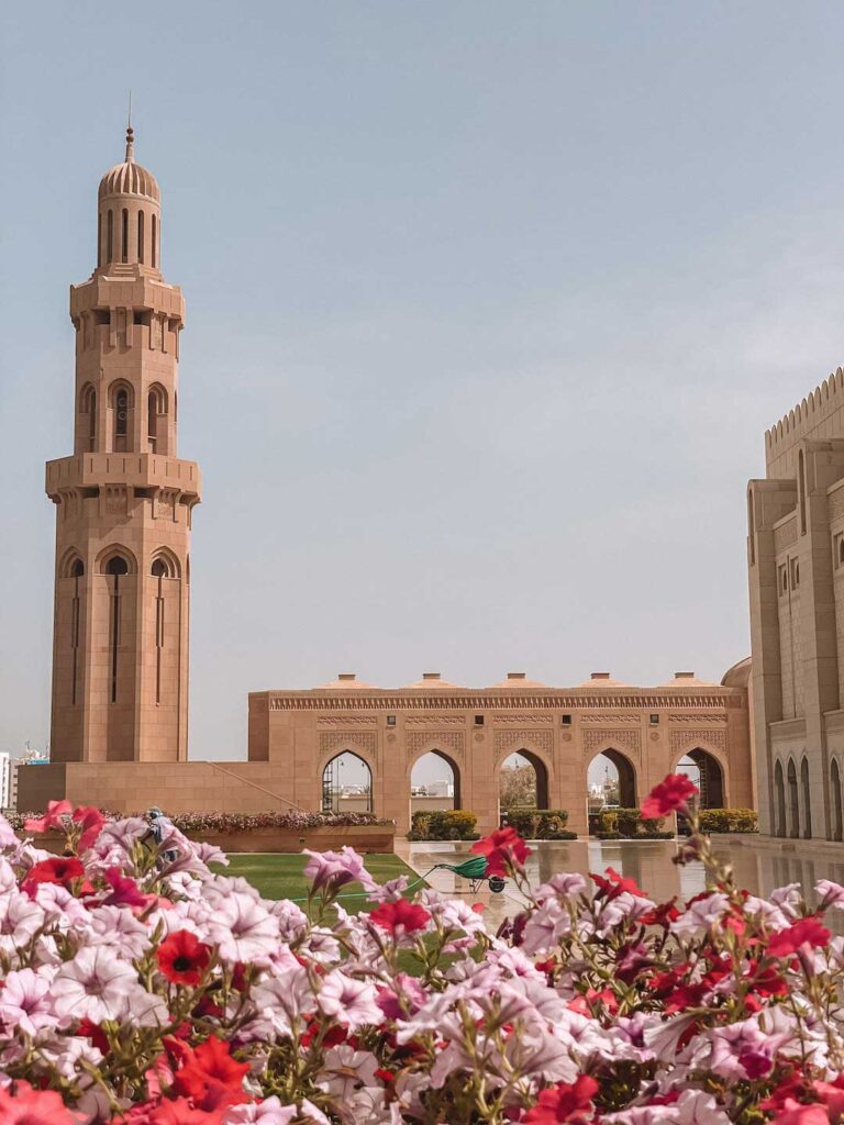 The grand mosque in Oman on a sunny day and the Garden filled with beautiful purple and pink flowers