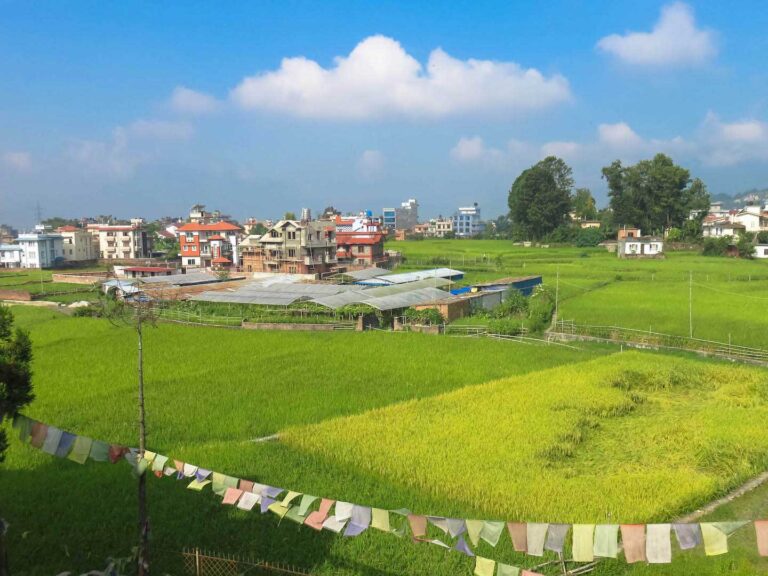 View from above of bright green and lush rice Fields in Kathmandu, Nepal