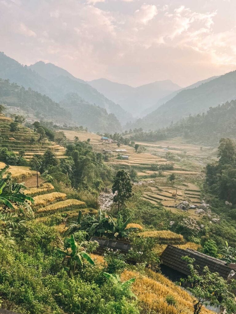 Rice fields and green mountains in Nepal