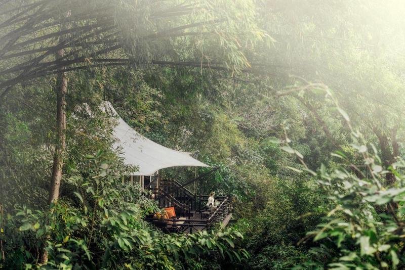 luxurious camp in the jungle of Northern Thailand. One of the unique hotels in Thailand