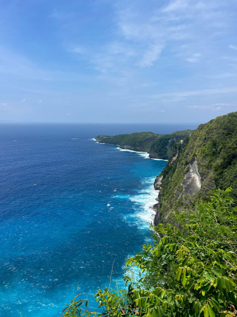 coastline near Kelingking Beach